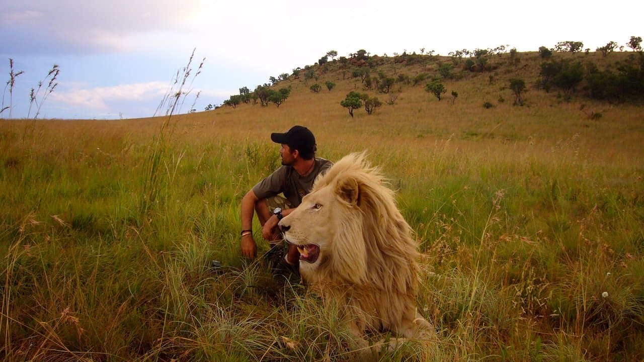 Afryka - wyprawa na safari