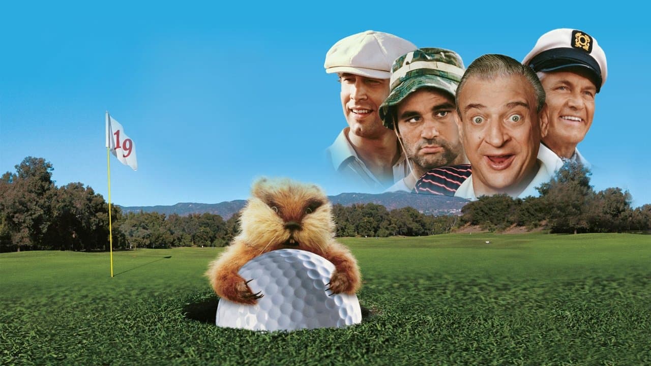 Golfiarze