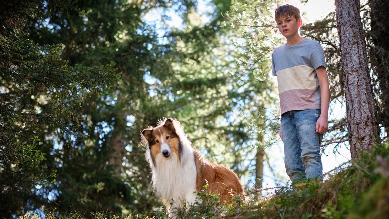 Lassie. Nowe przygody