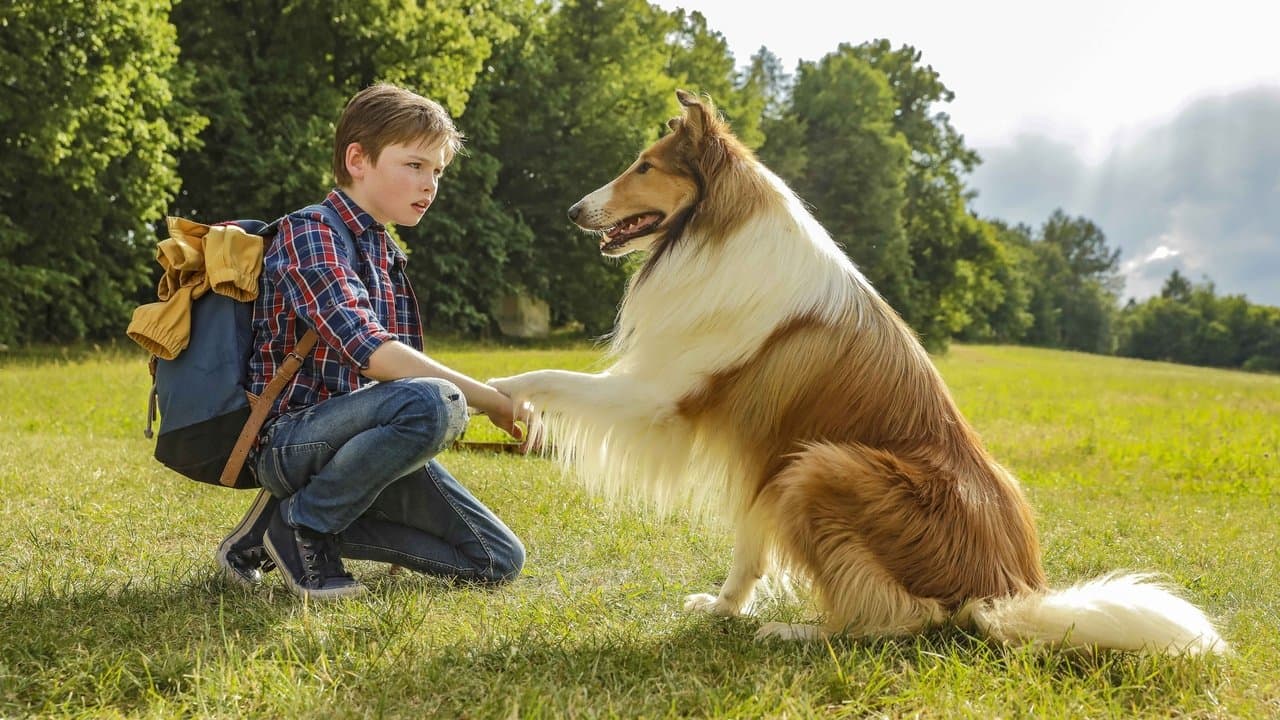Lassie, wróć!