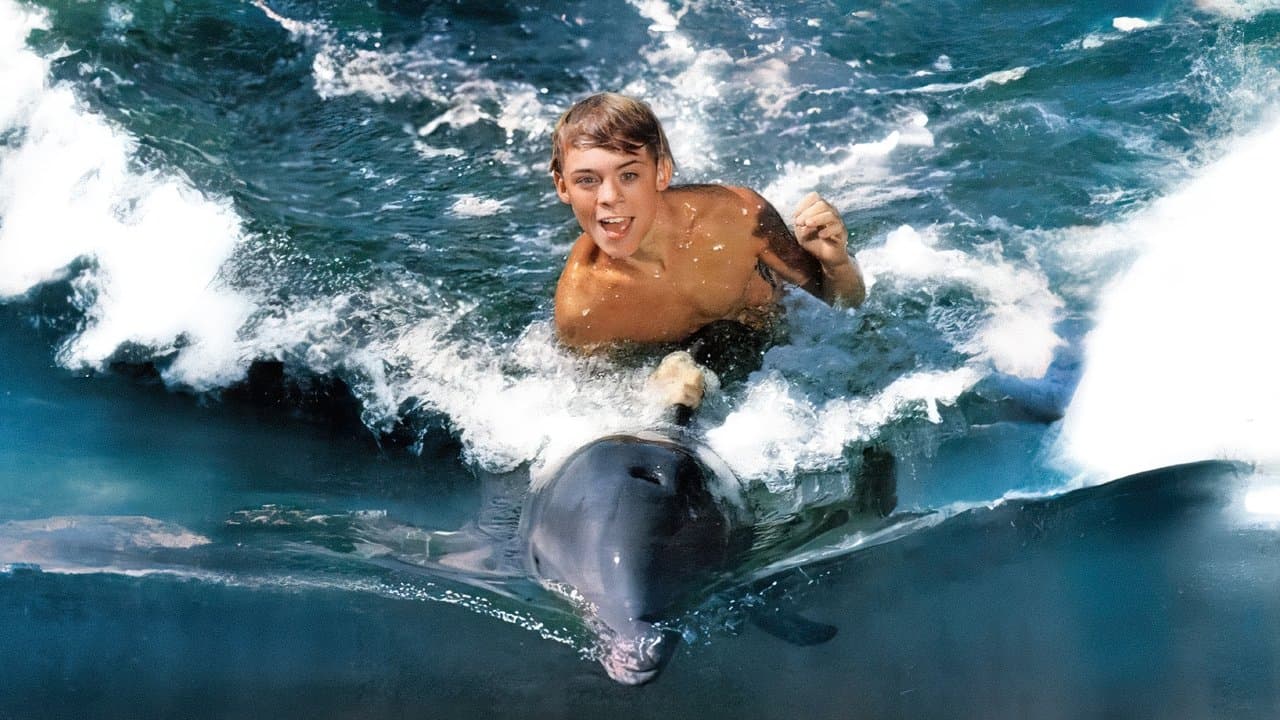 Mój przyjaciel delfin