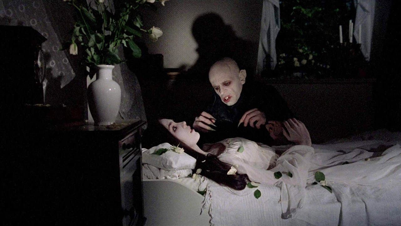 Nosferatu wampir