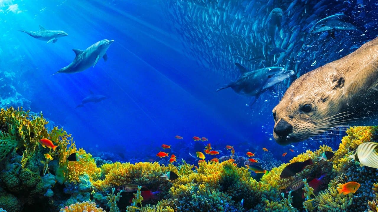 Oceany: nasza niebieska planeta