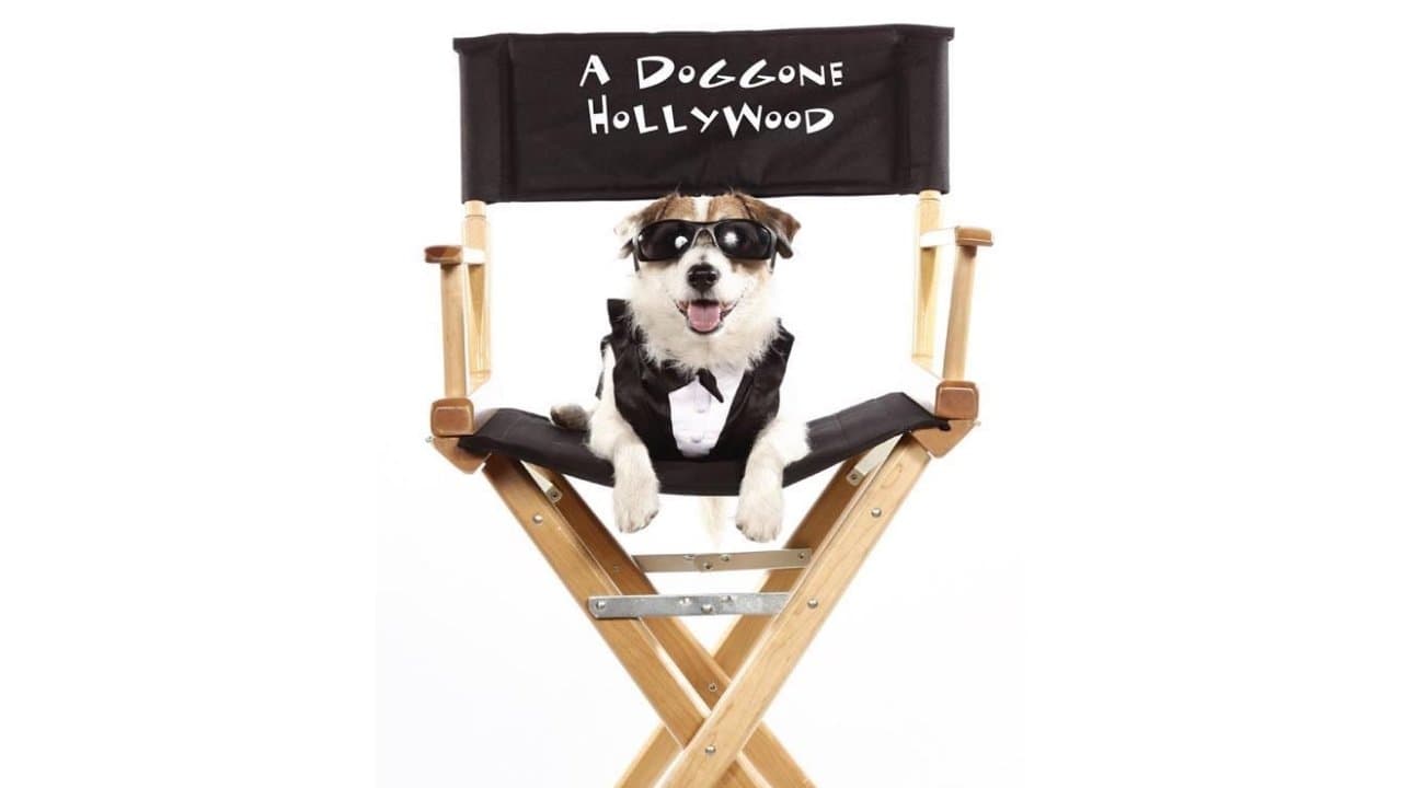 Piesek z Hollywood