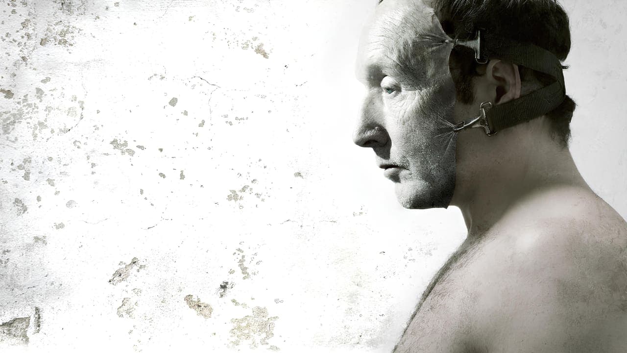 Piła V