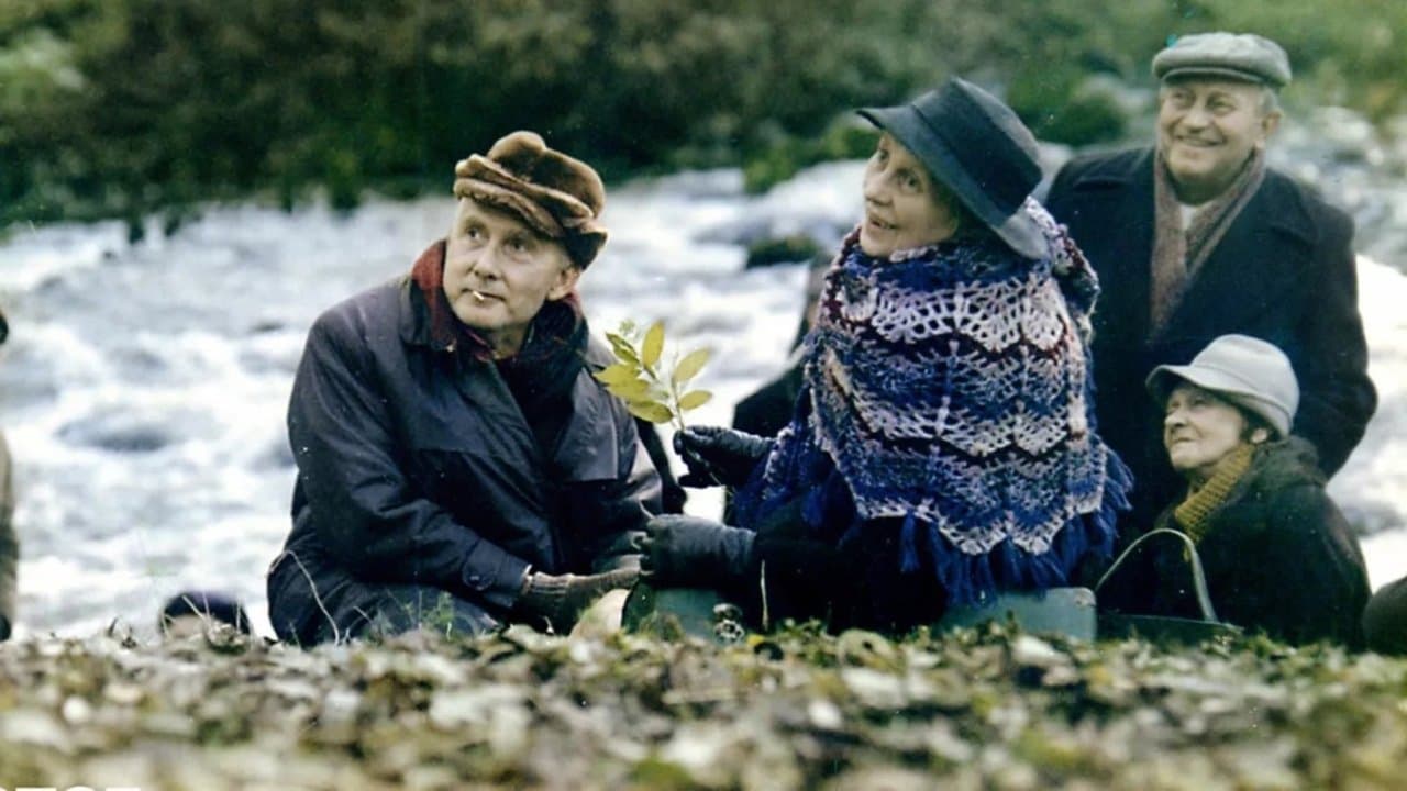 Prognoza pogody