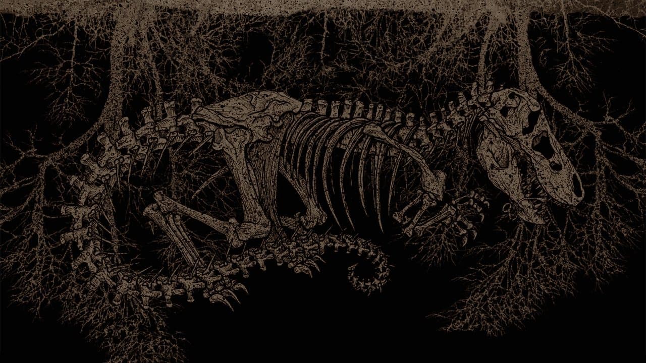 Tyranozaur
