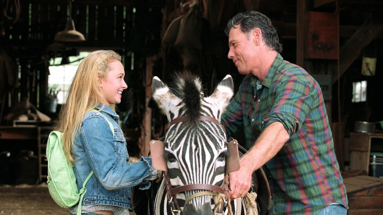 Zebra z klasą