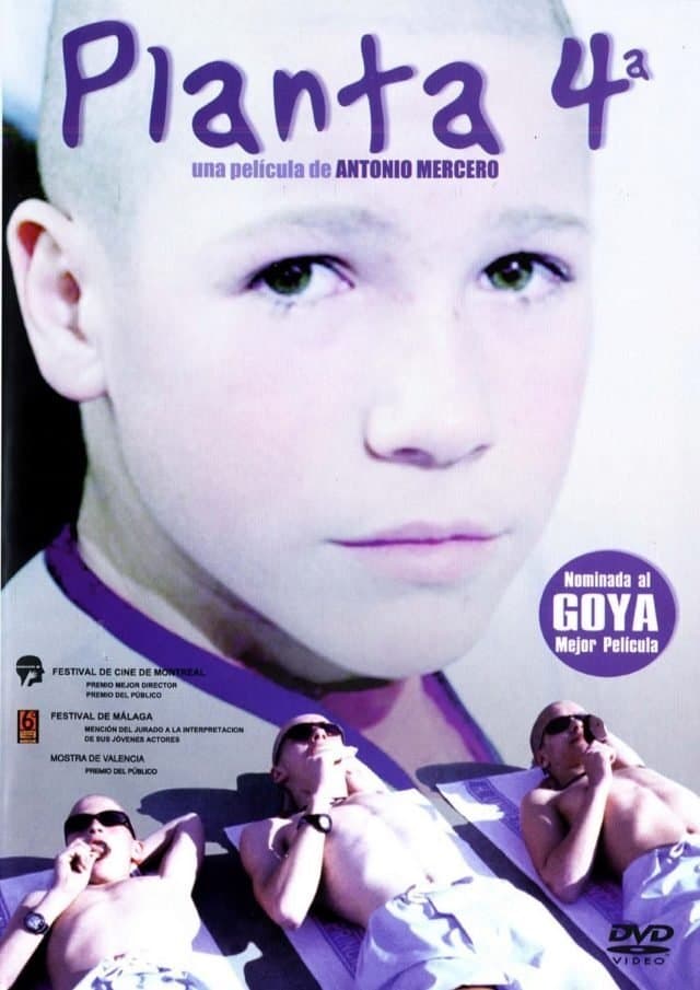 Oglądaj 4. piętro