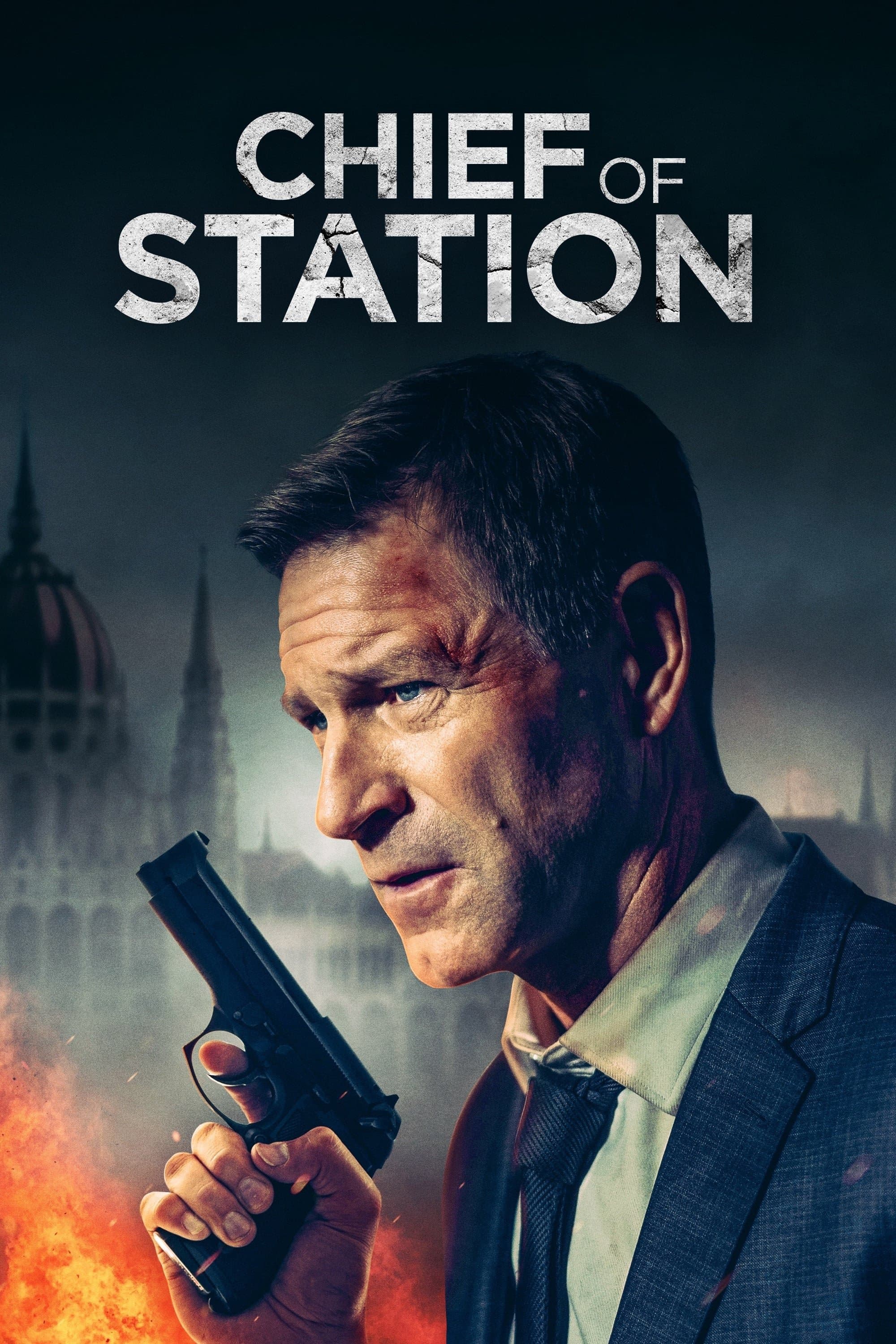 Oglądaj Agent