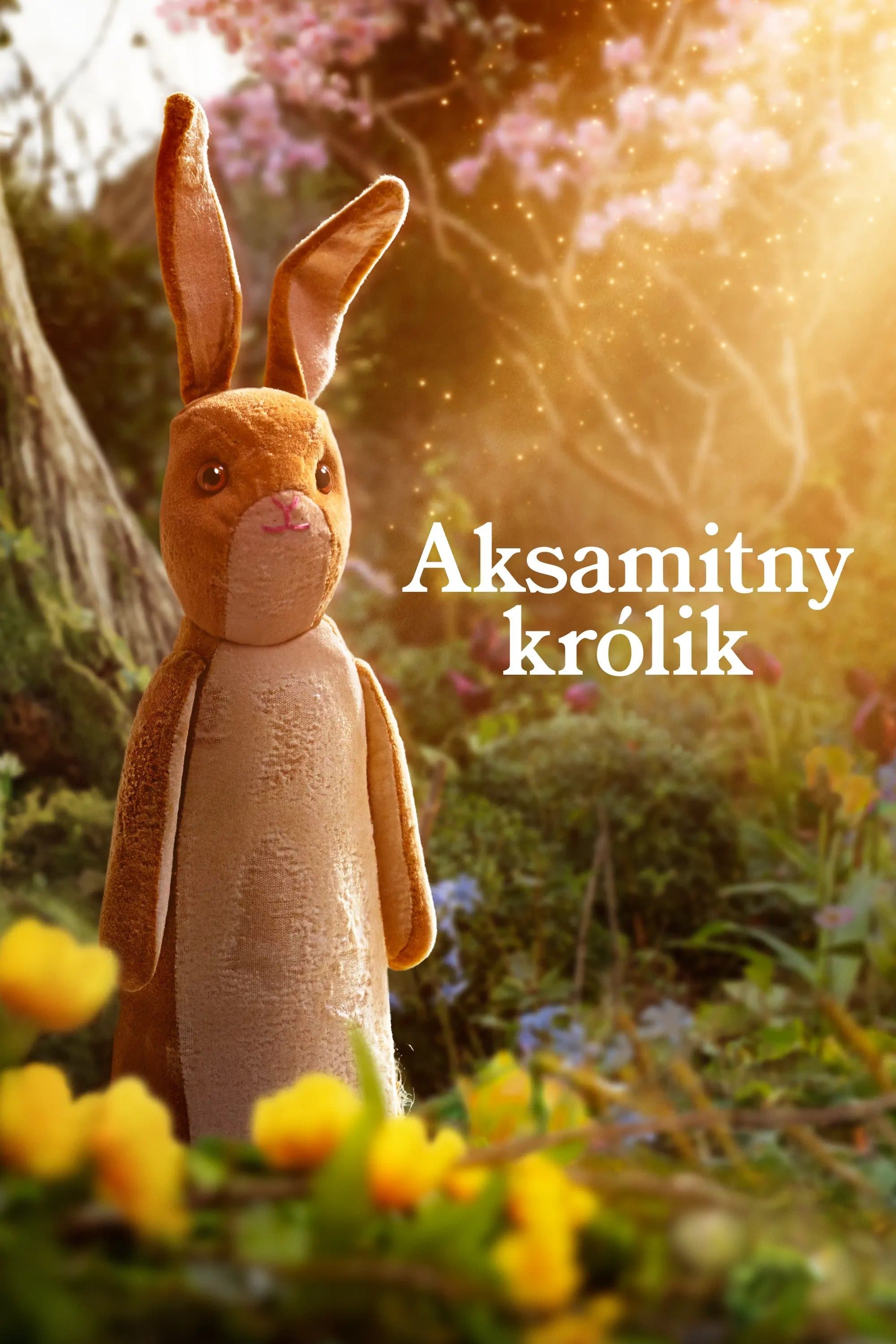 Oglądaj Aksamitny królik