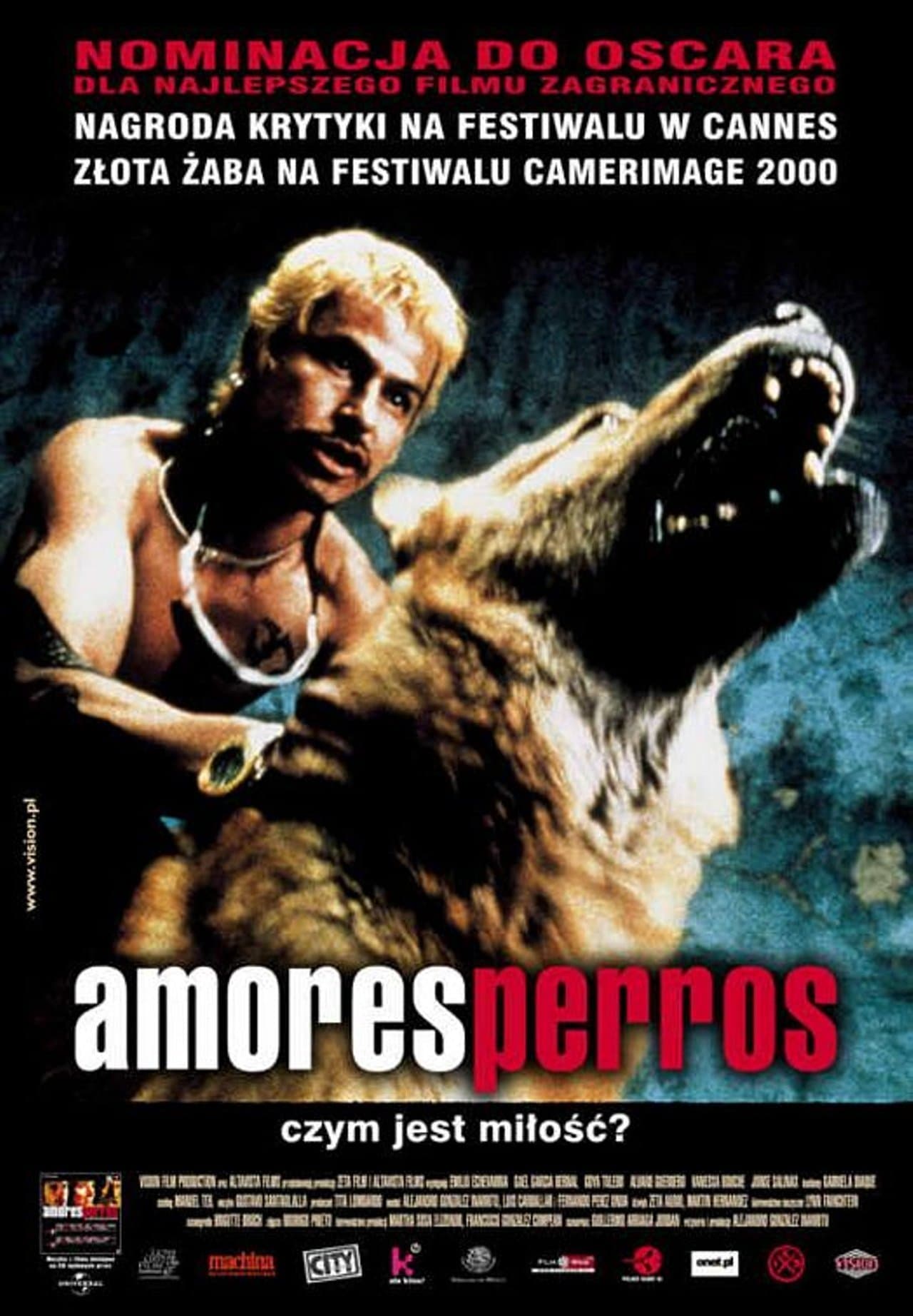 Oglądaj Amores perros