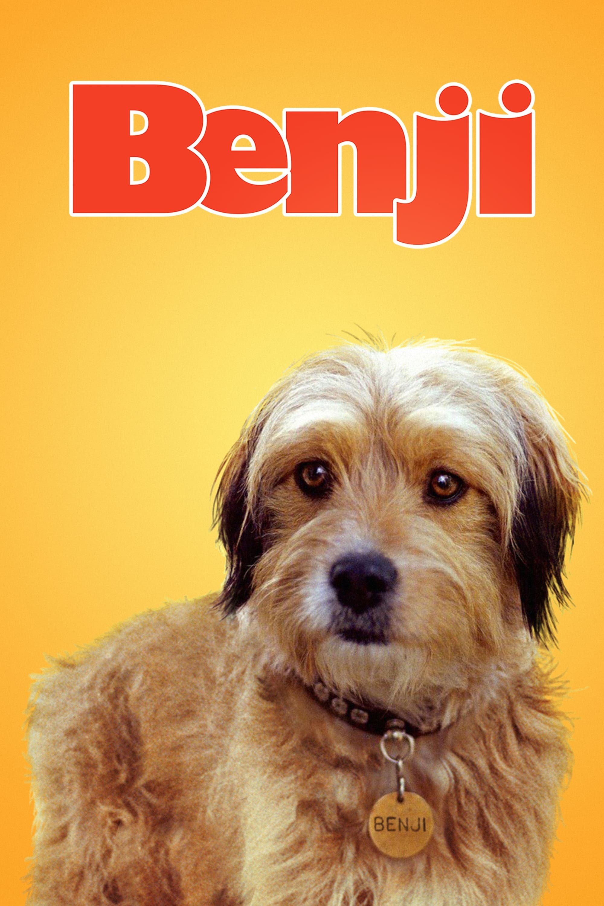 Oglądaj Benji