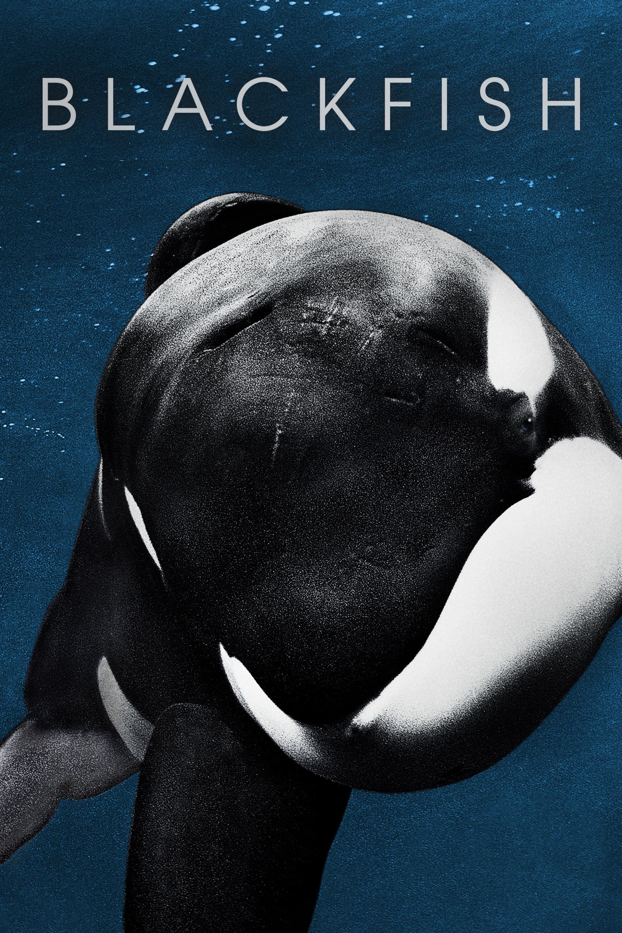 Oglądaj Blackfish
