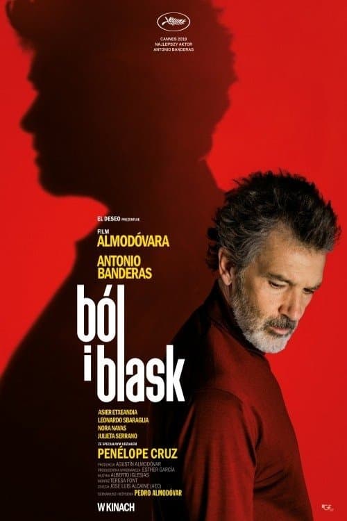 Oglądaj Ból i blask