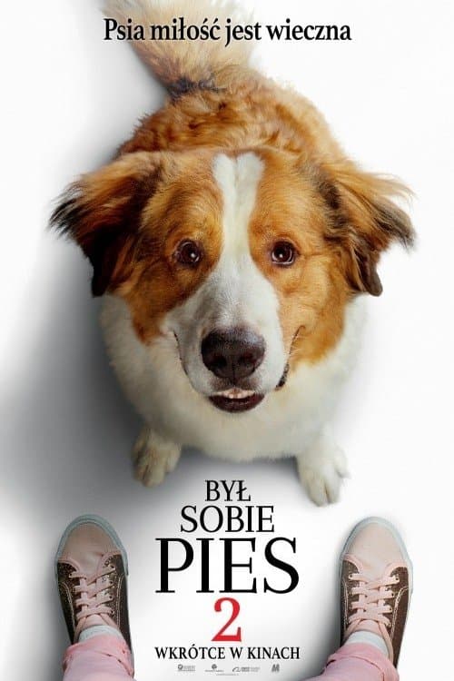 Oglądaj Był sobie pies 2