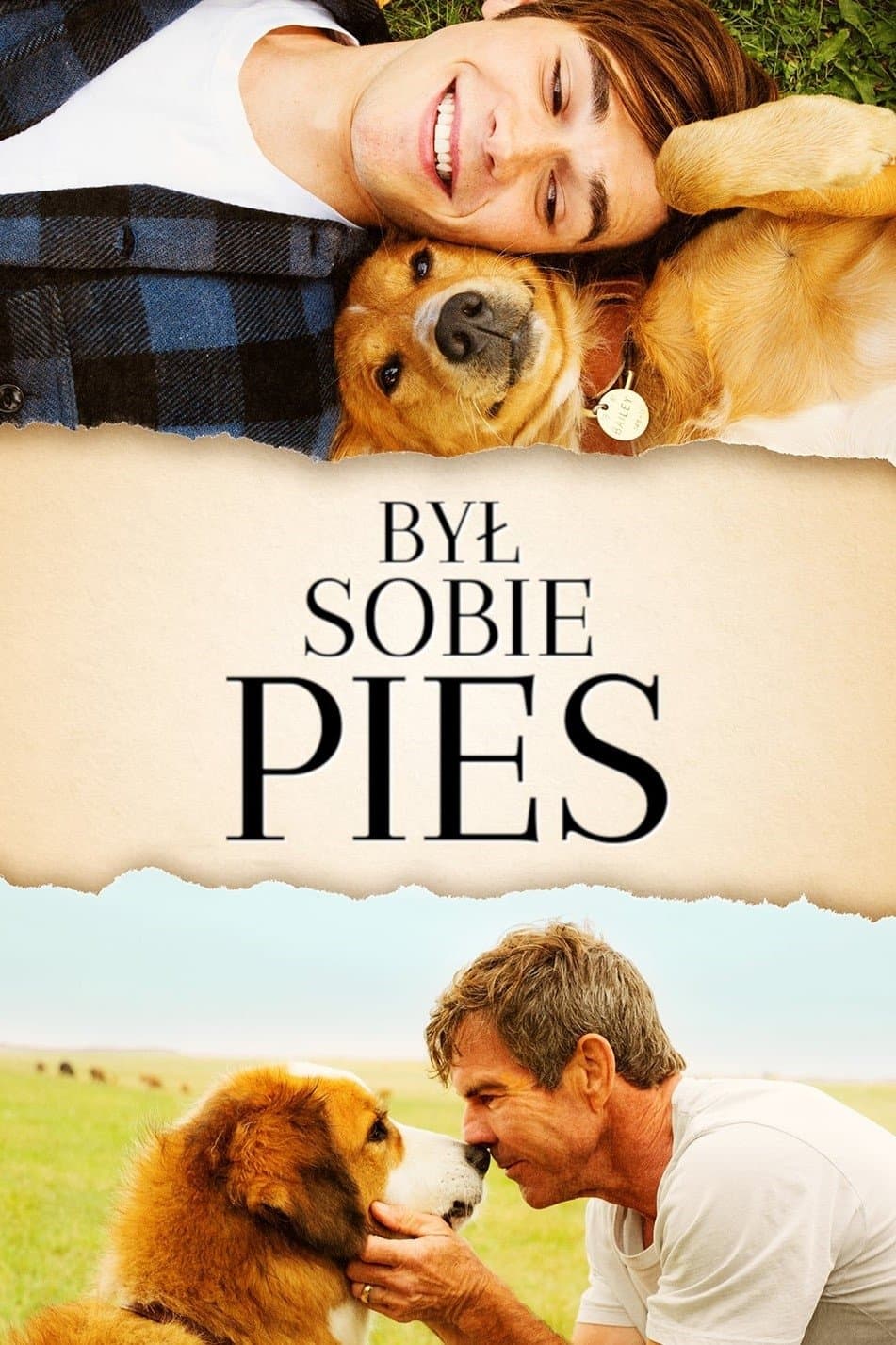 Oglądaj Był Sobie Pies