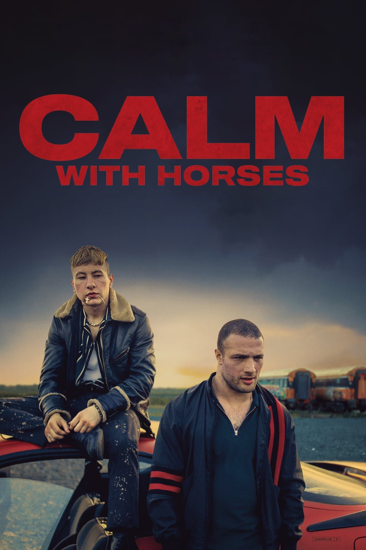 Oglądaj Calm with Horses