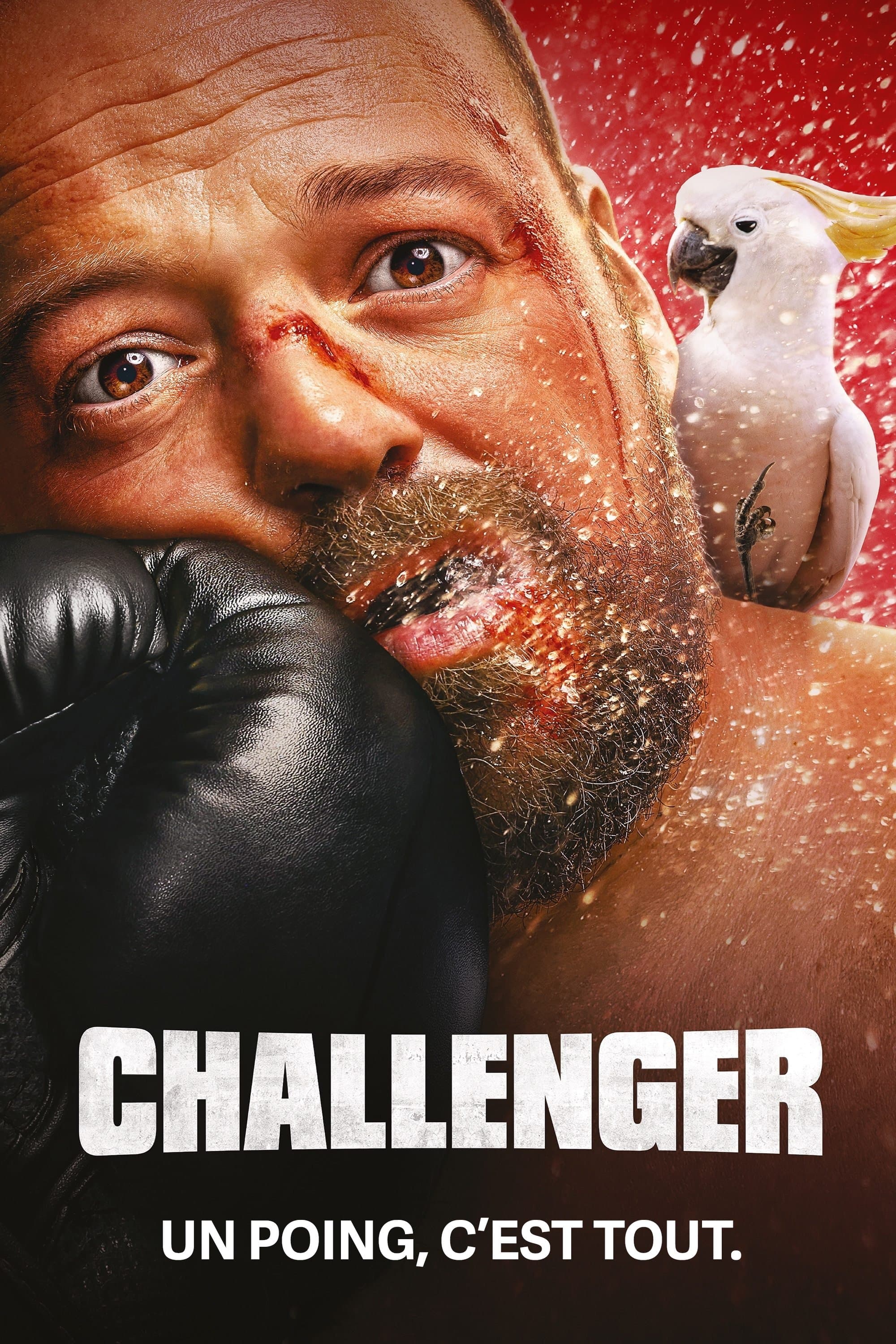 Oglądaj Challenger