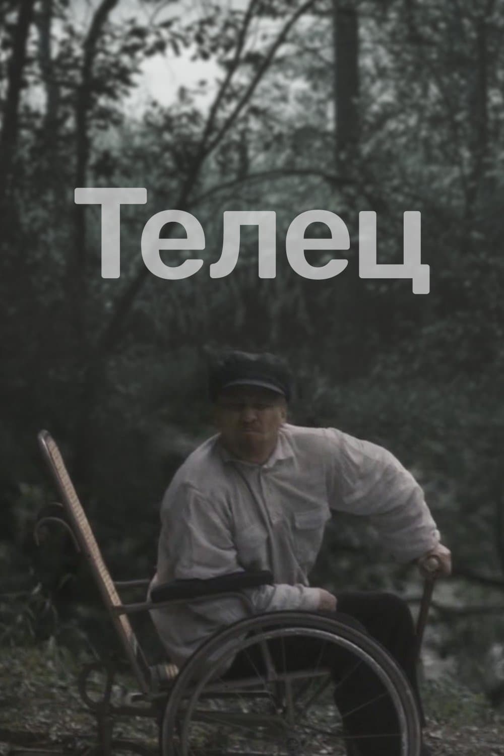 Oglądaj Cielec