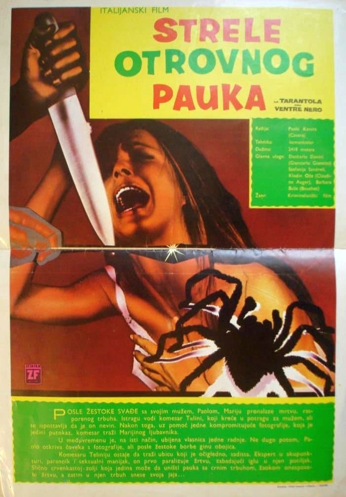 Oglądaj Czarny odwłok tarantuli