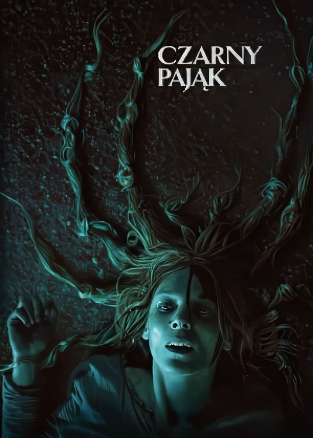 Oglądaj Czarny pająk