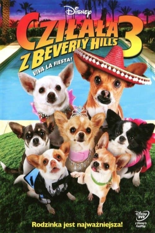 Oglądaj Cziłała z Beverly Hills 3