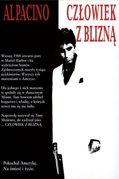 Oglądaj Człowiek z blizną