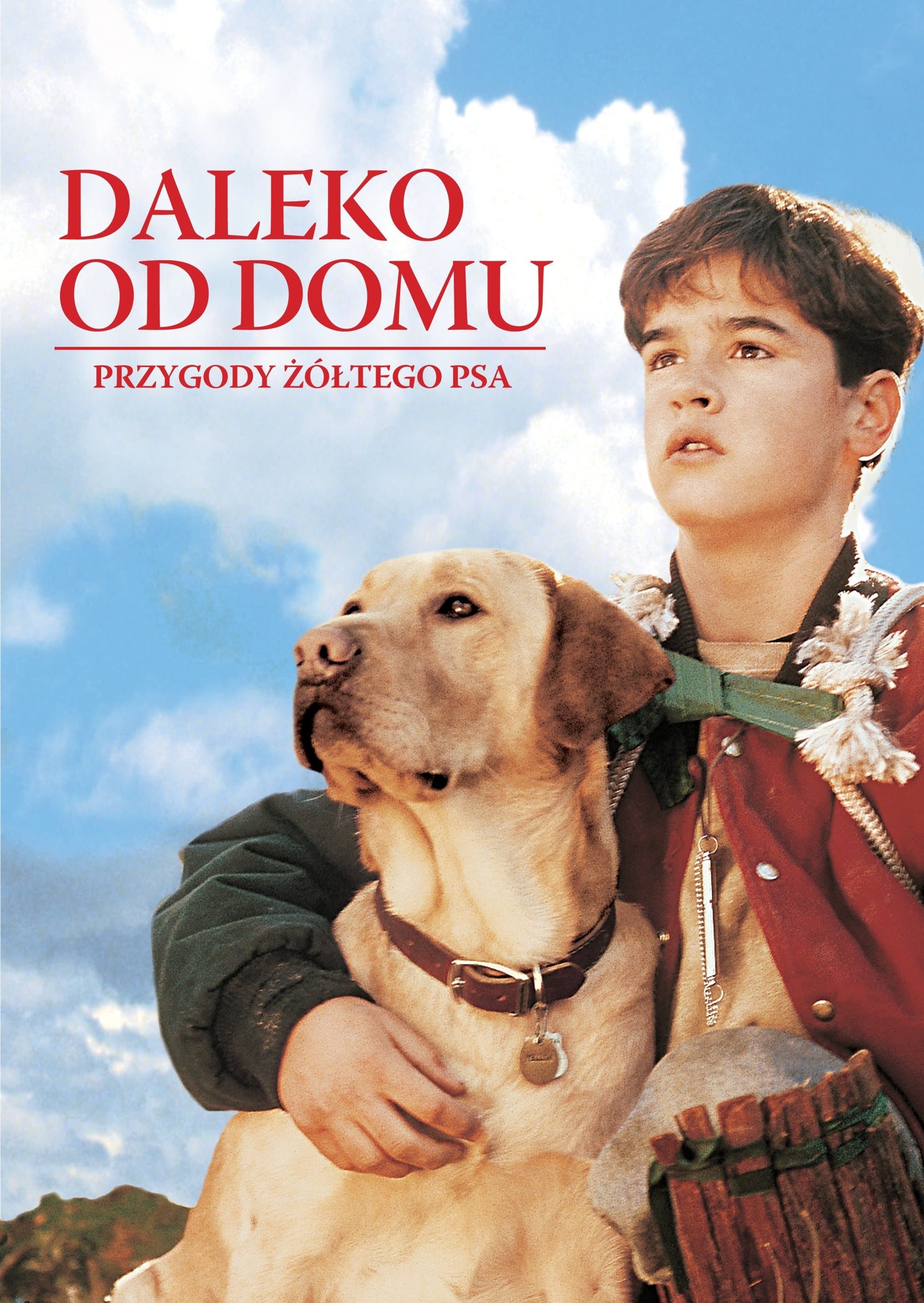 Oglądaj Daleko od domu: Przygody żółtego psa