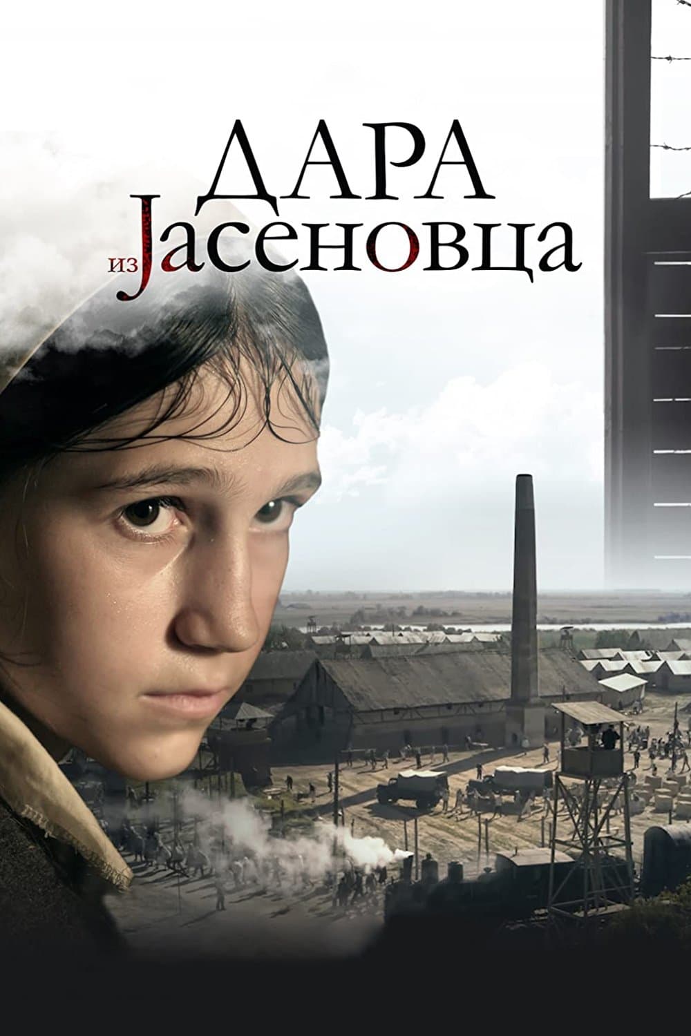 Oglądaj Dara z Jasenovaca