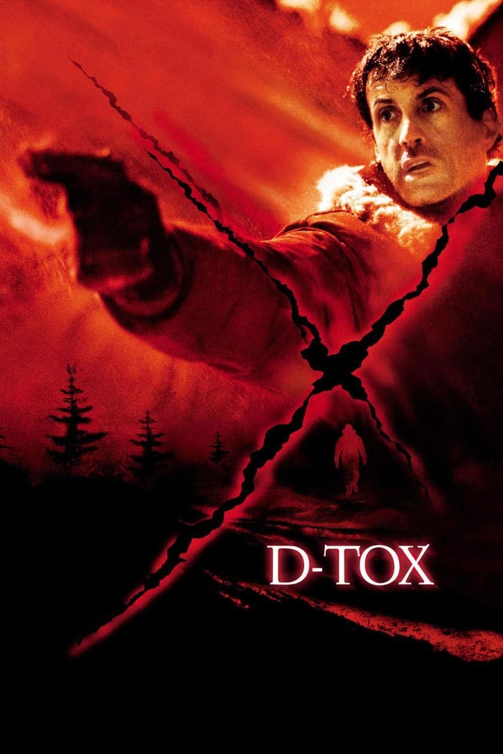 Oglądaj Detoks