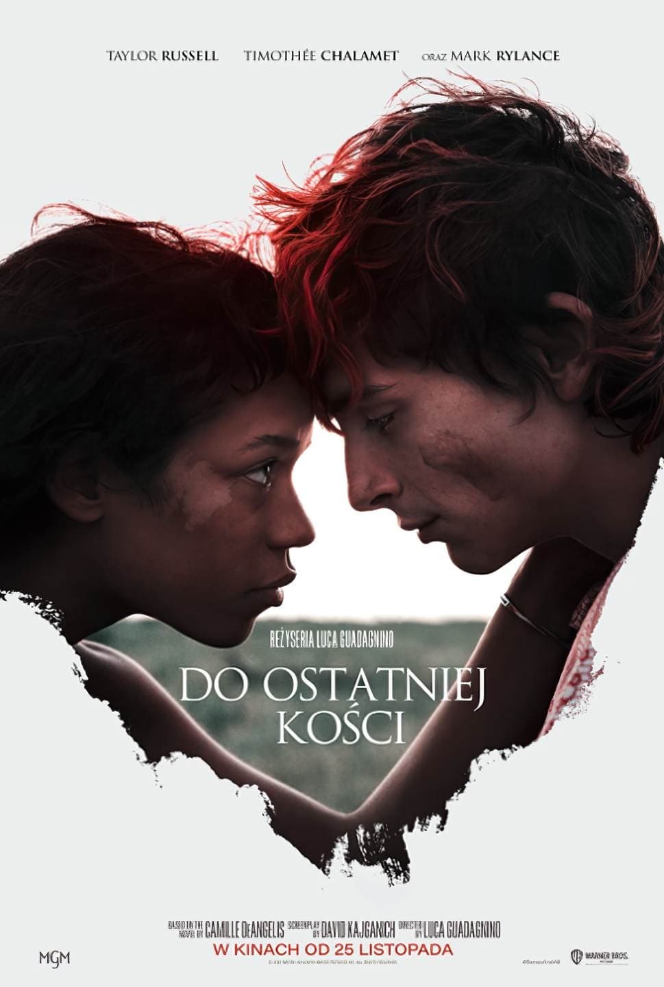 Oglądaj Do ostatniej kości