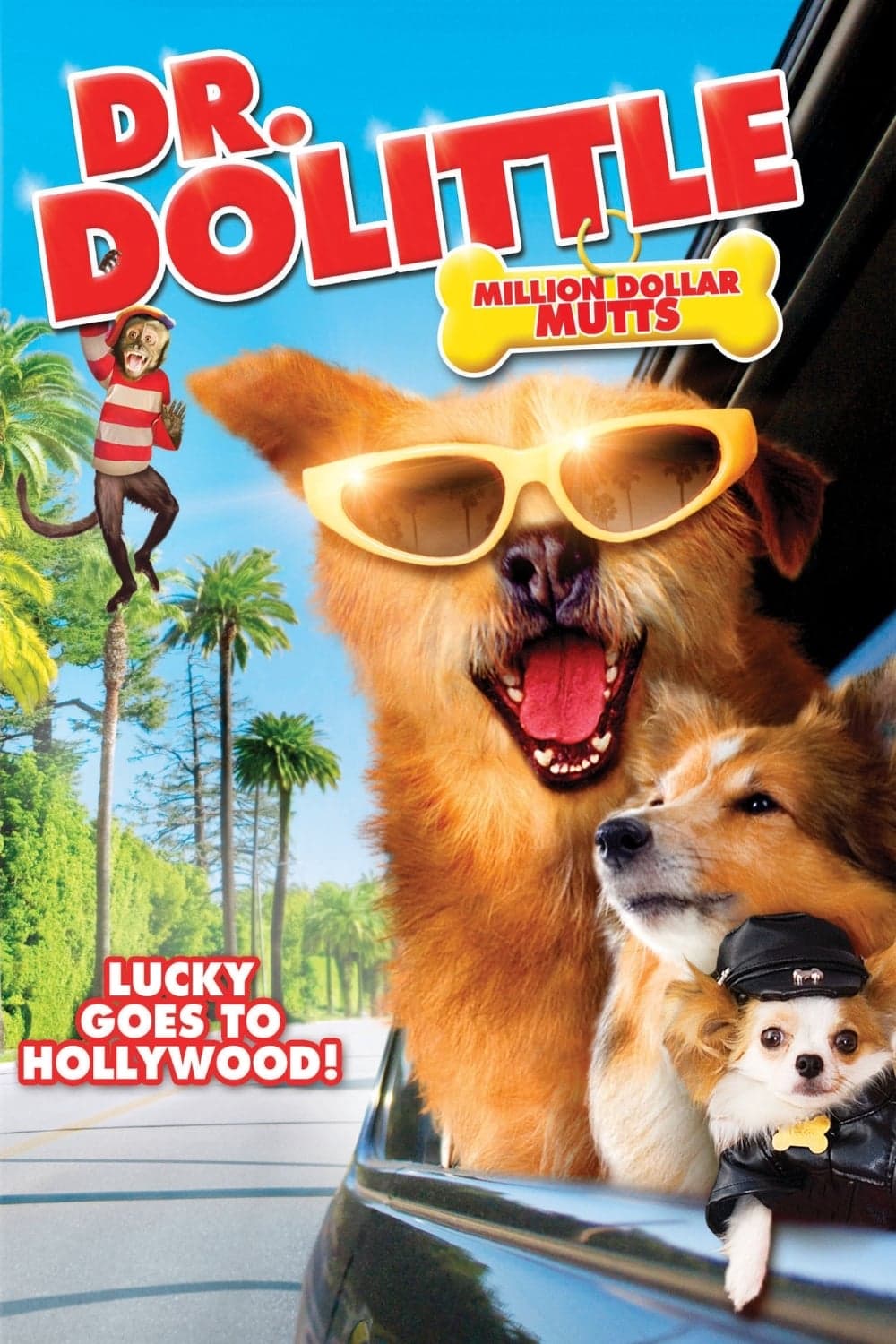 Oglądaj Doktor Dolittle 5: W pogoni za błahostkami
