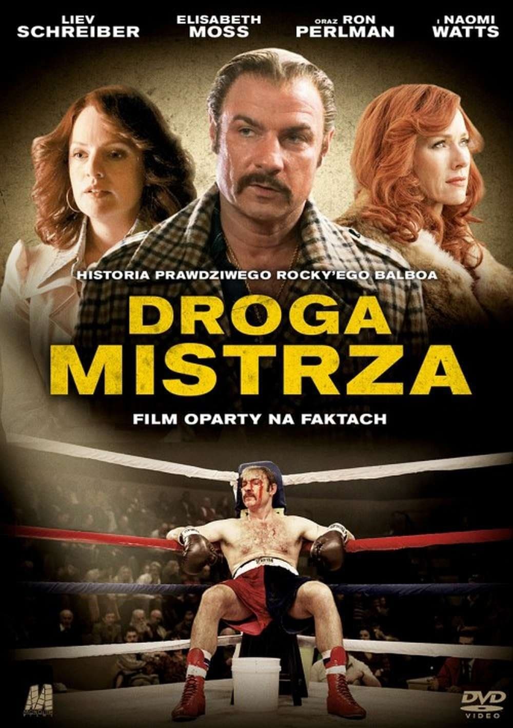 Oglądaj Droga mistrza