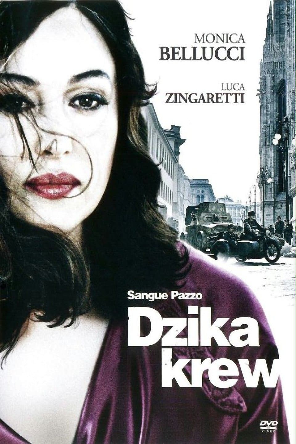 Oglądaj Dzika krew