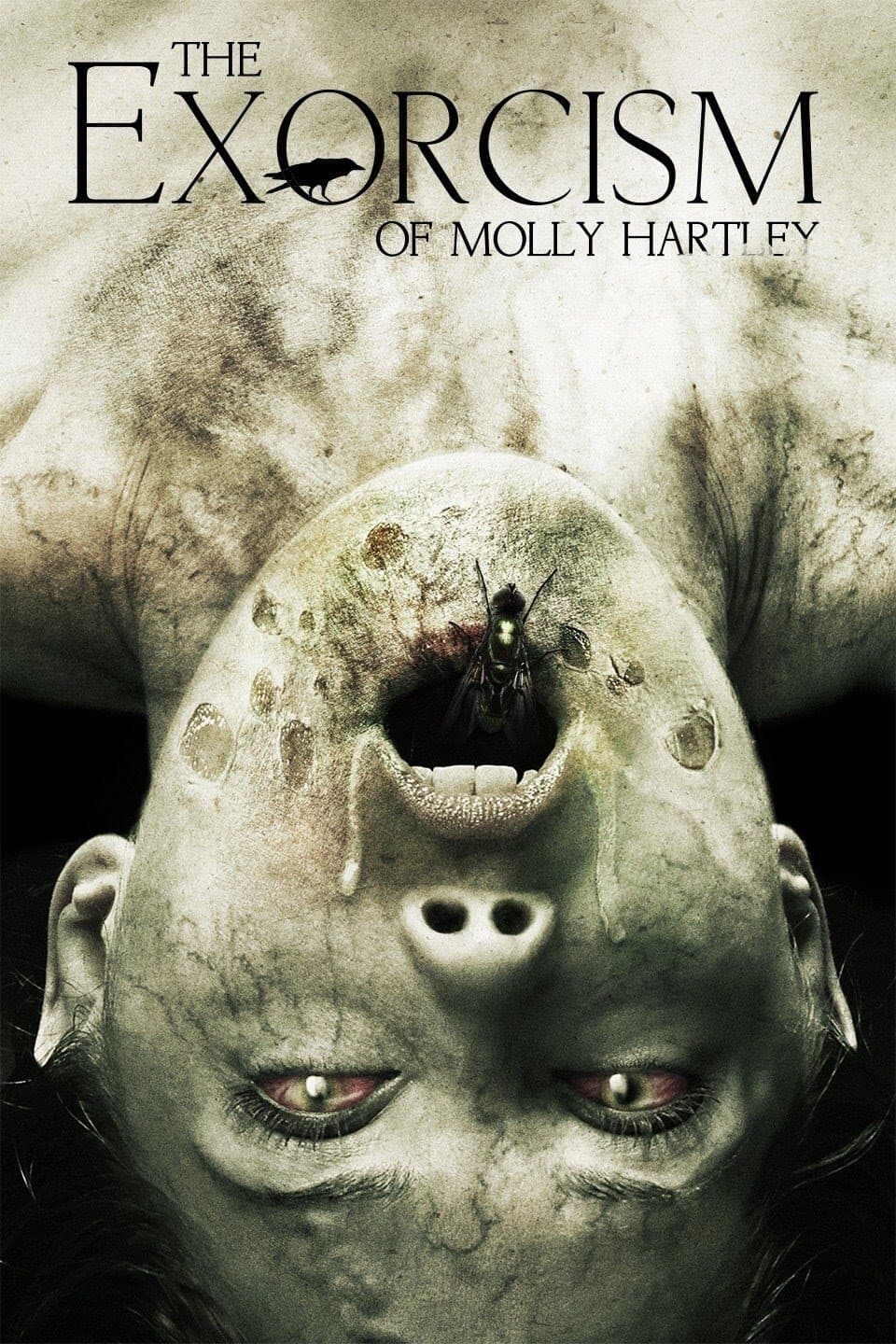 Oglądaj Egzorcyzmy Molly Hartley