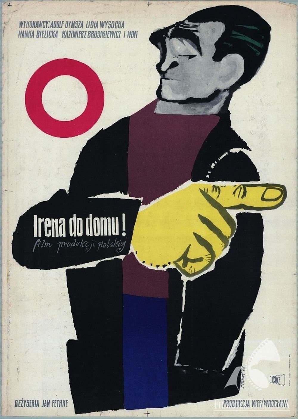 Oglądaj Irena do domu!