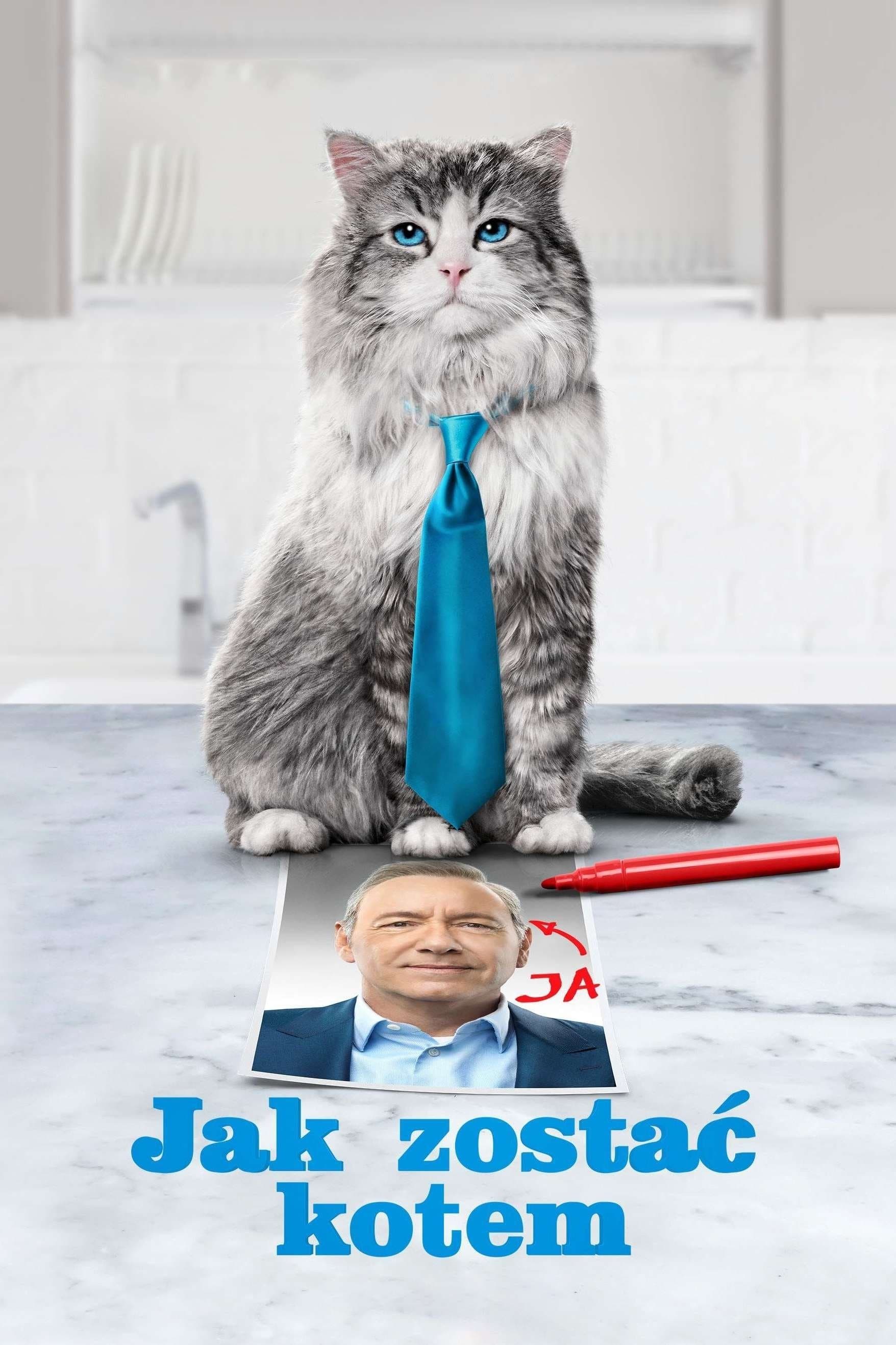 Oglądaj Jak zostać kotem