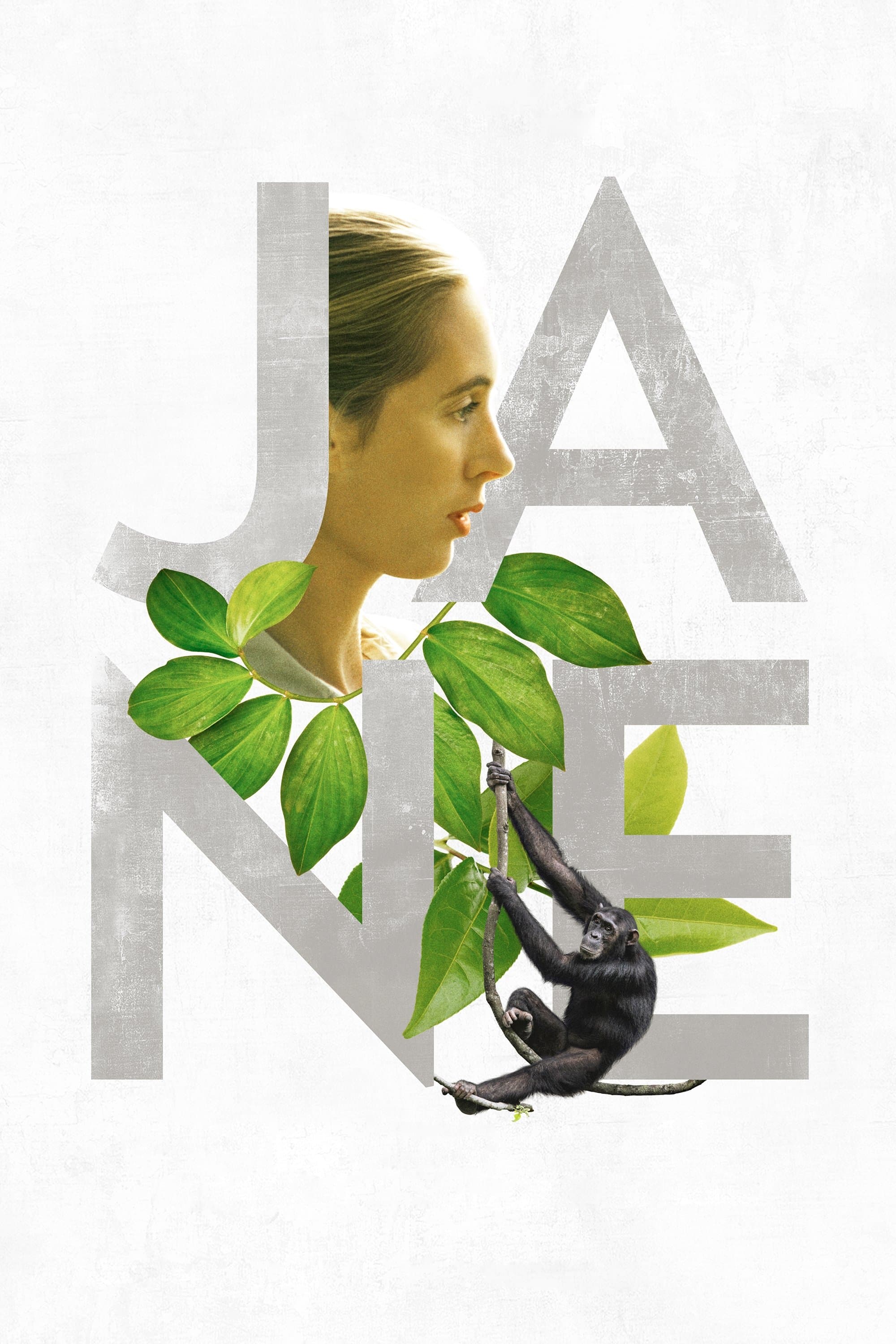 Oglądaj Jane