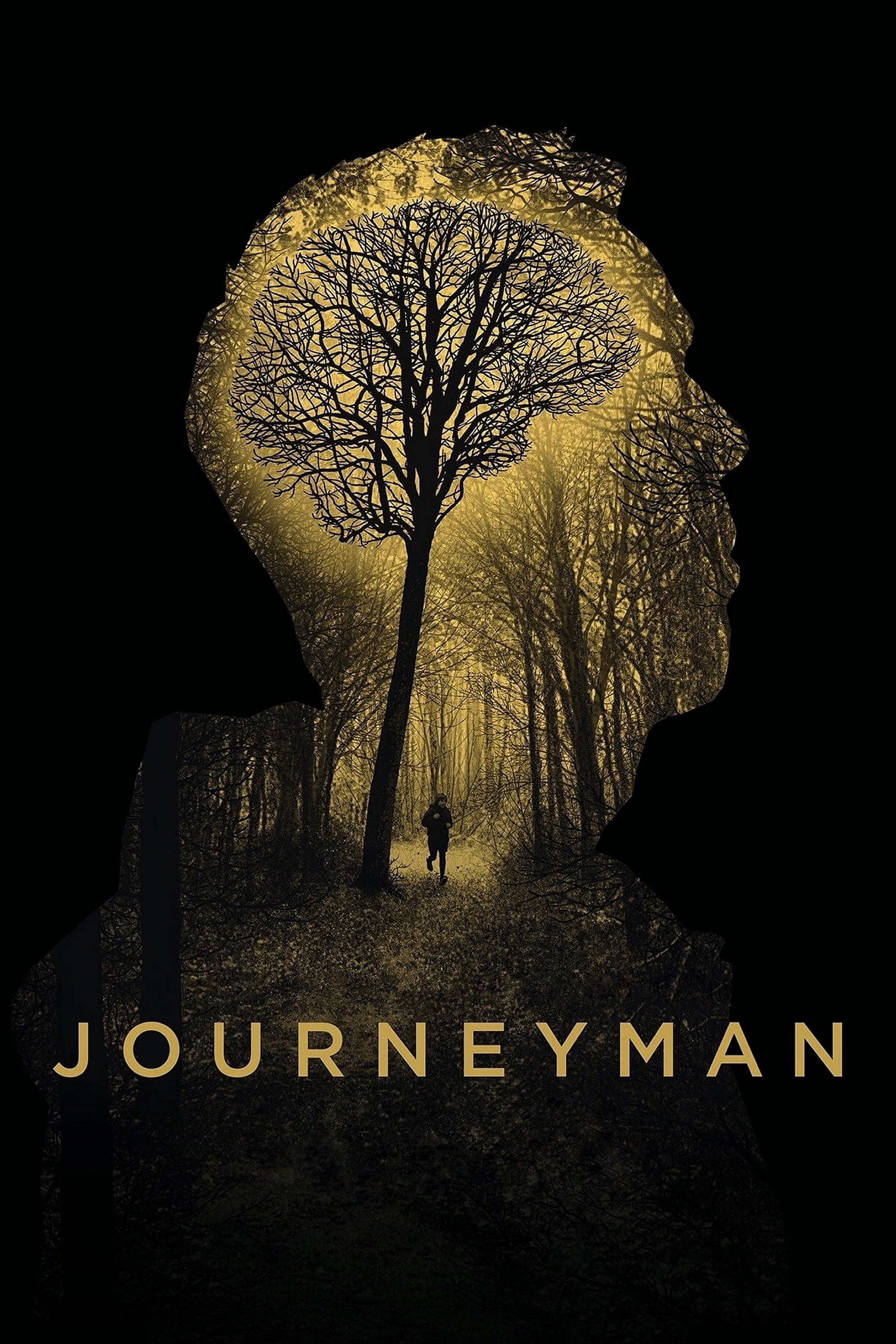 Oglądaj Journeyman