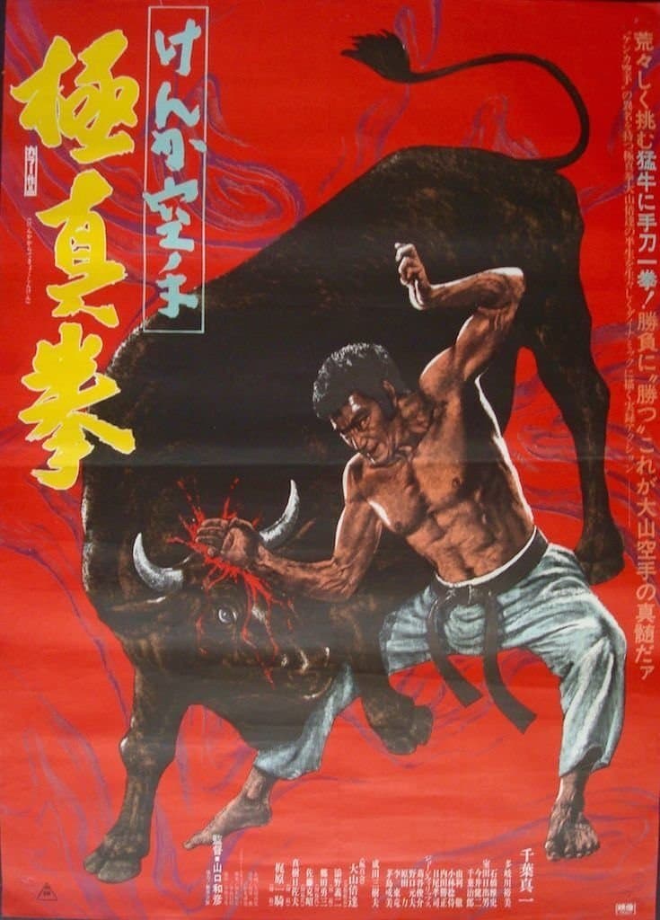Oglądaj Karate Bullfighter