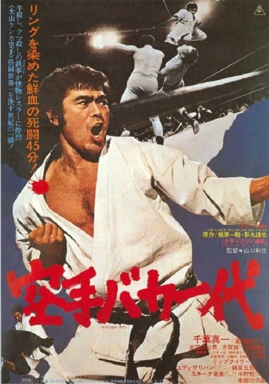 Oglądaj Karate for Life