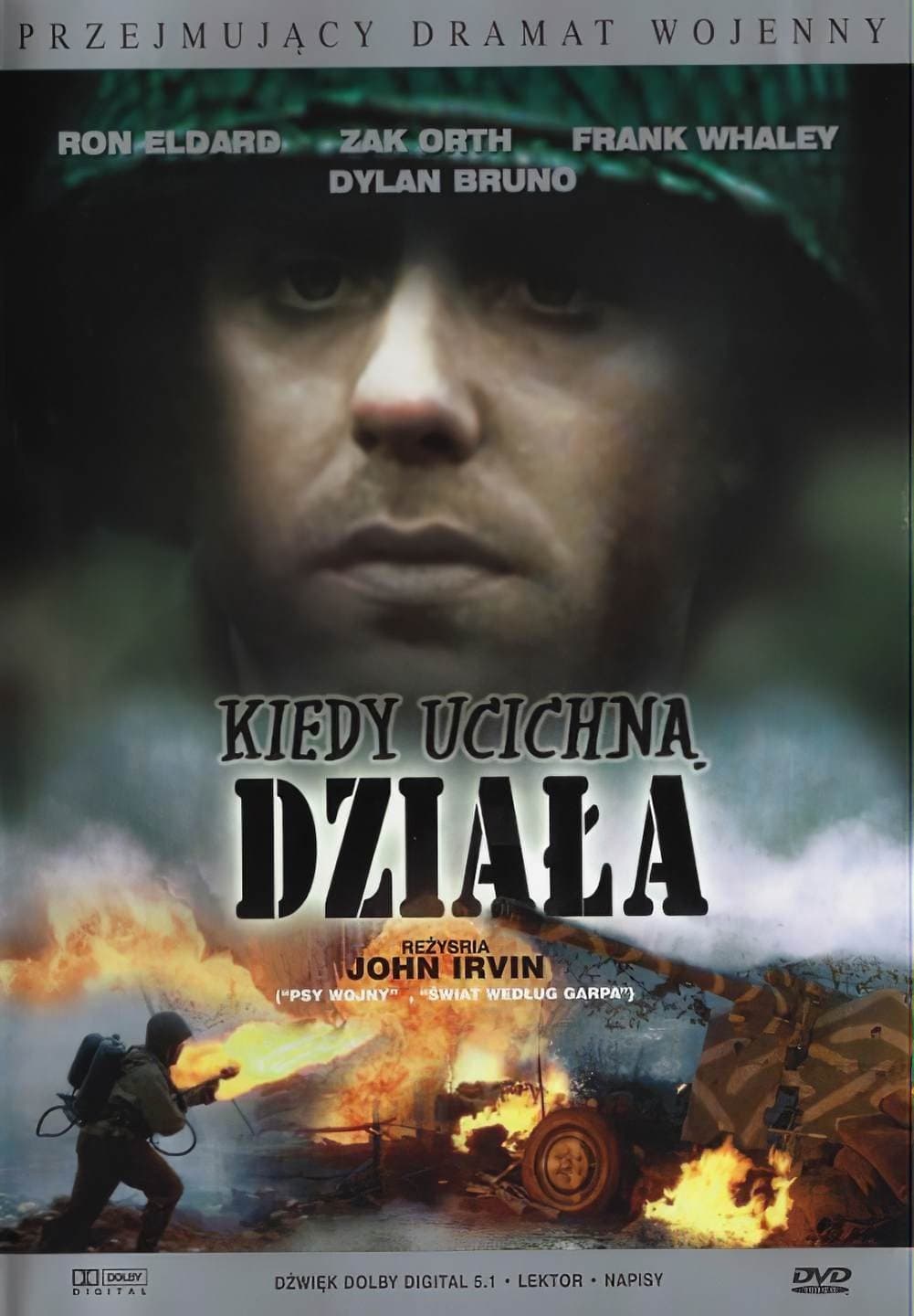 Oglądaj Kiedy ucichną działa