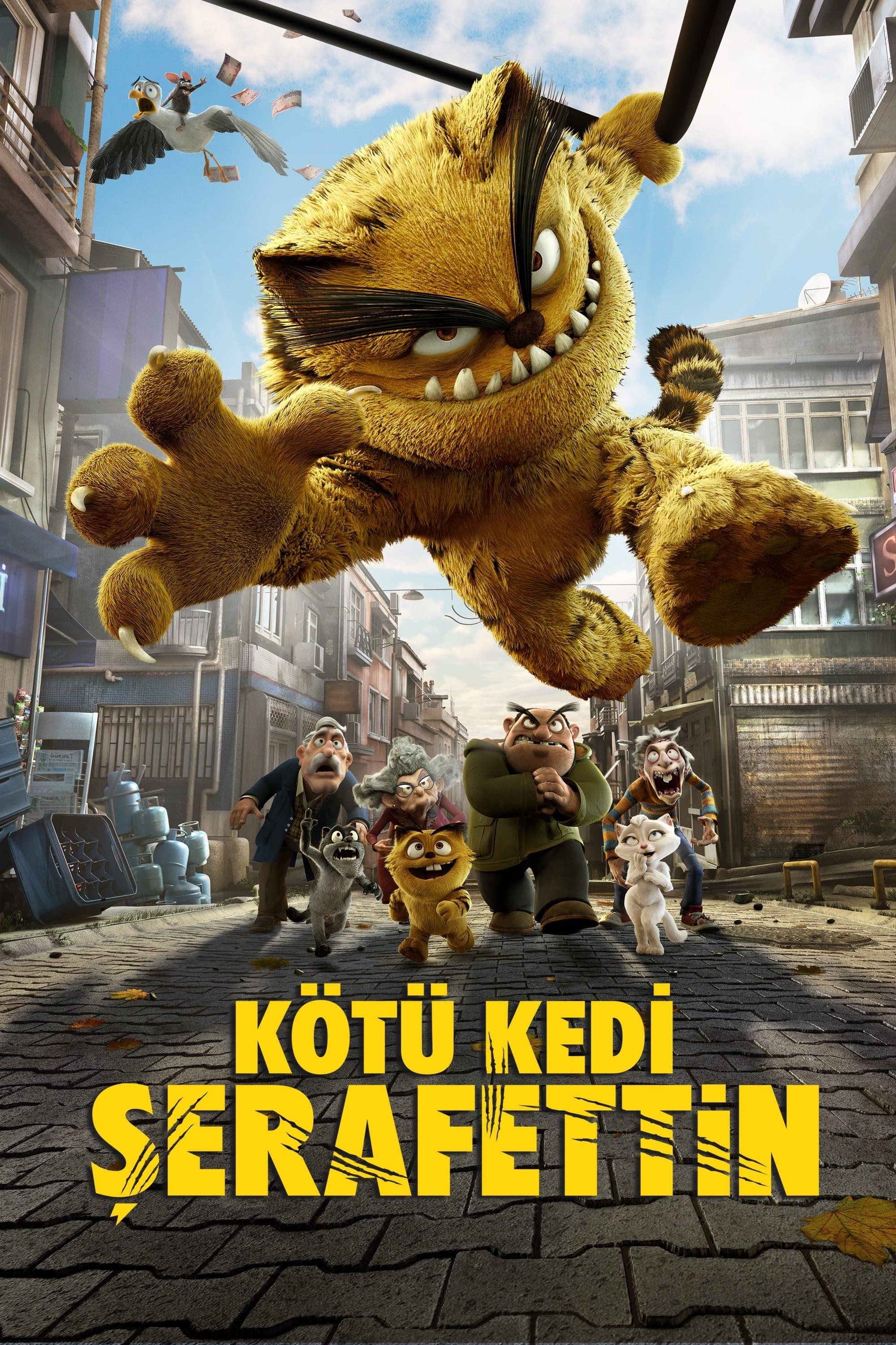 Oglądaj Kocur
