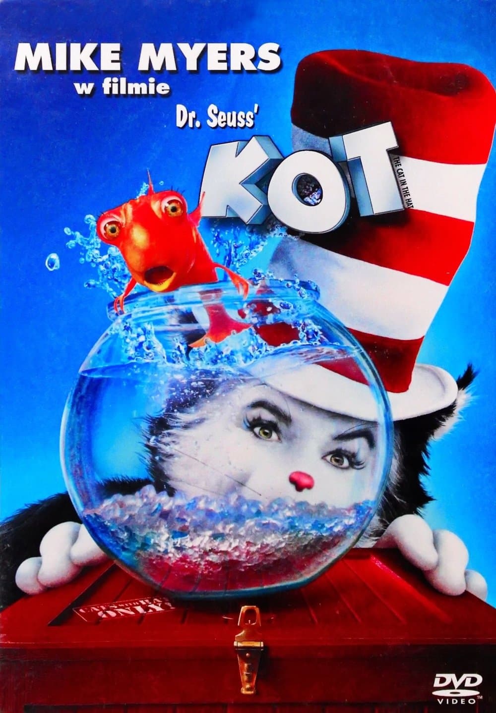 Oglądaj Kot