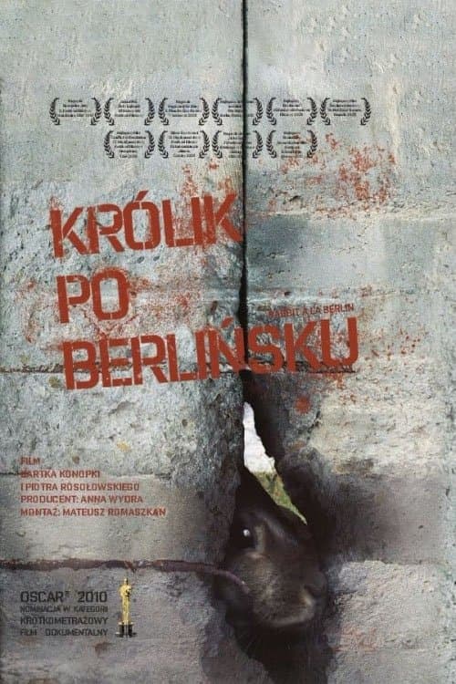 Oglądaj Królik po berlińsku