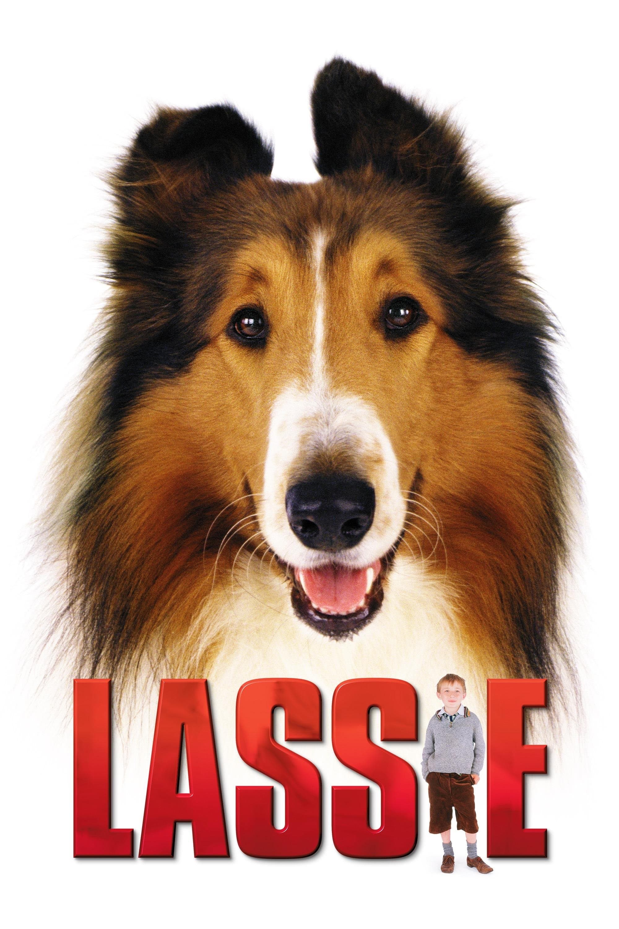 Oglądaj Lassie