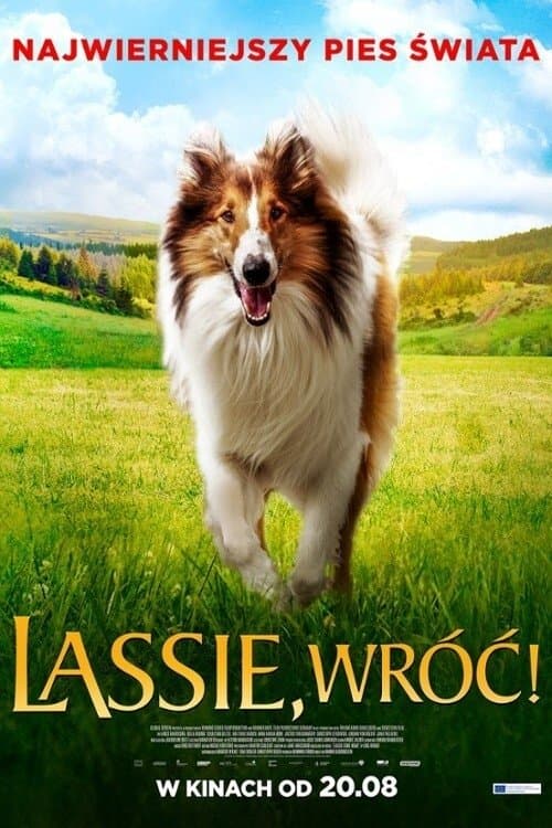 Oglądaj Lassie, wróć!