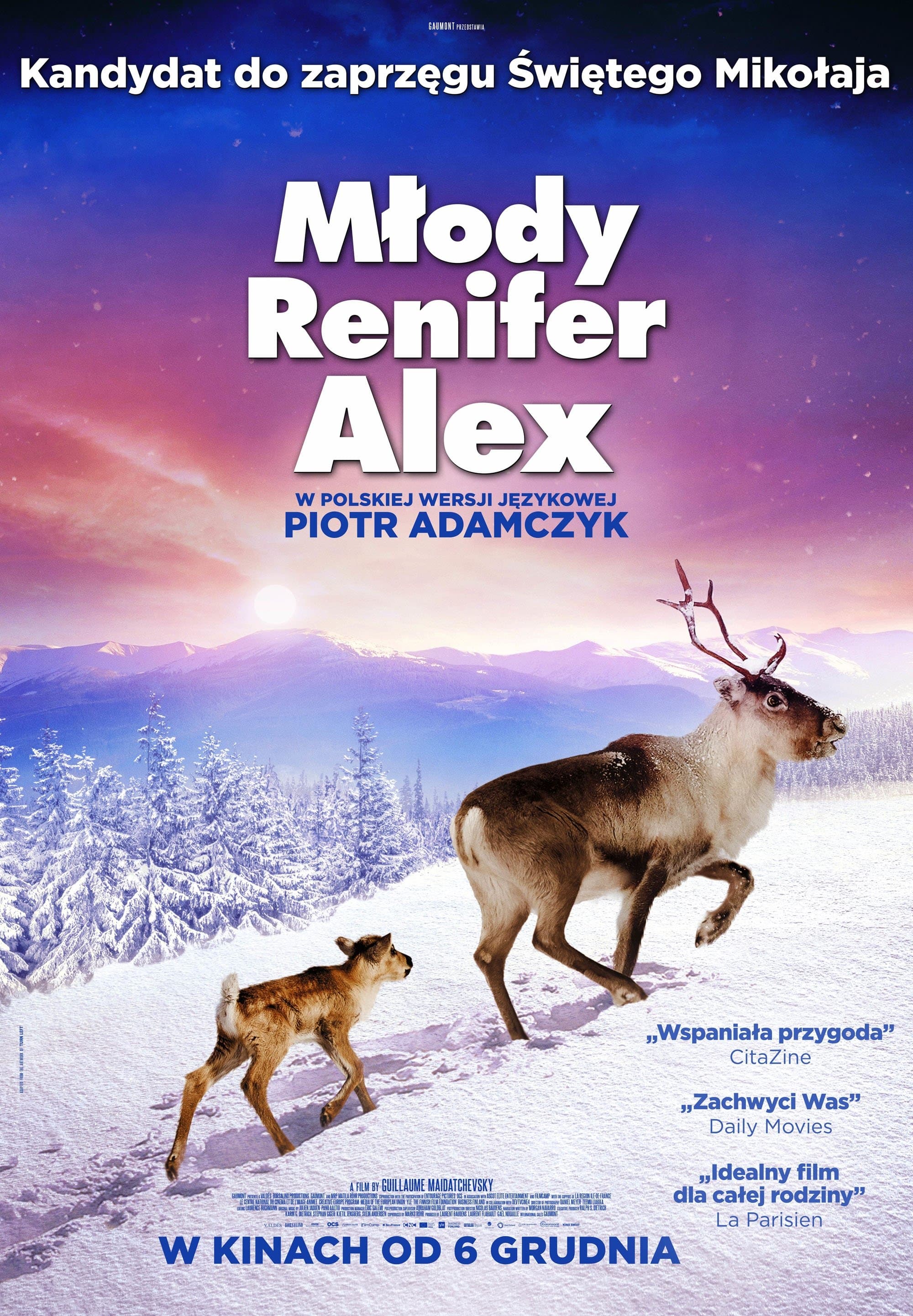 Oglądaj Młody renifer Alex