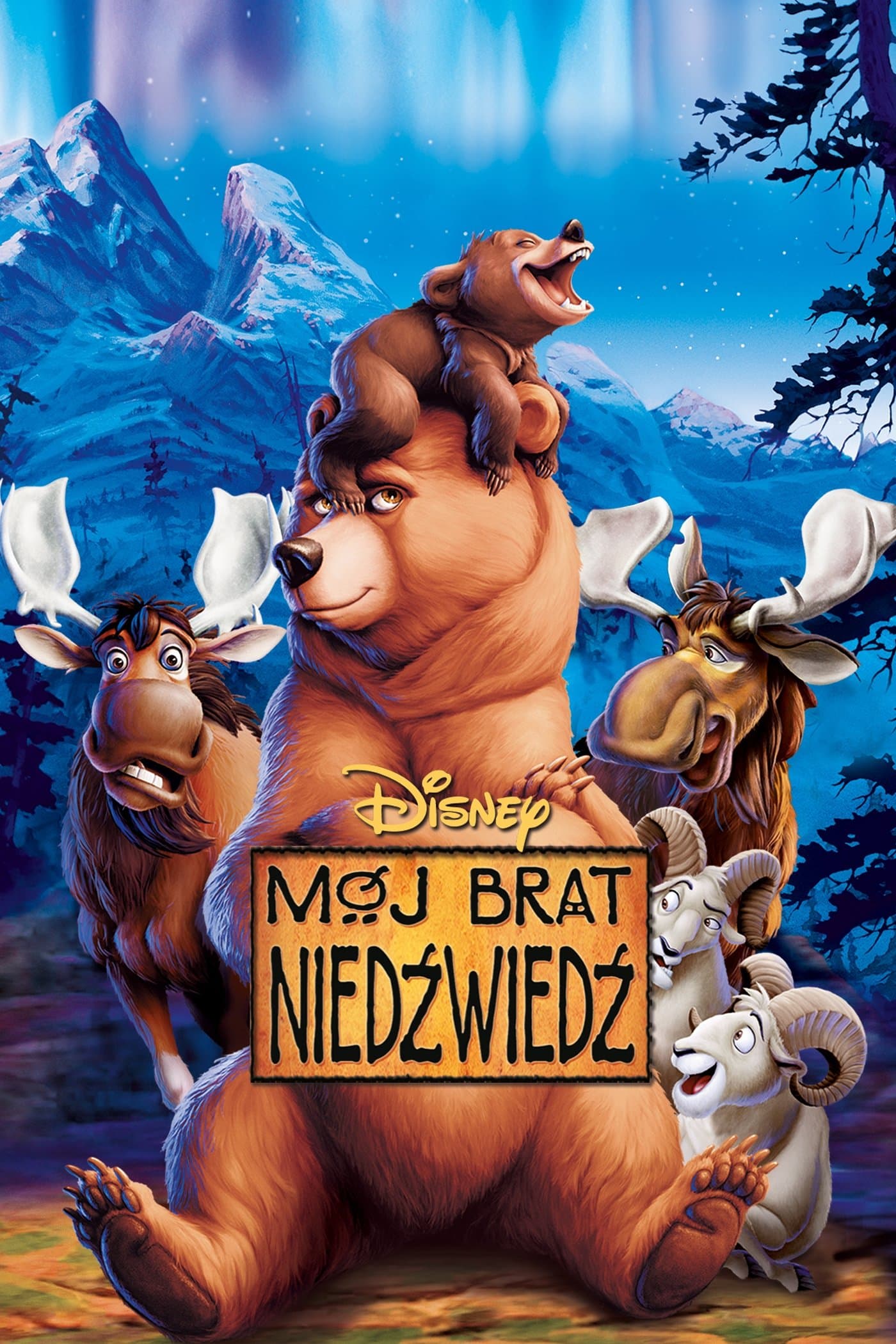Oglądaj Mój brat niedźwiedź